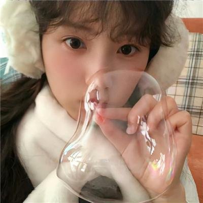 没人瞭波斯猫